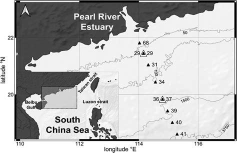 micro plastic abundant areas in south china sea